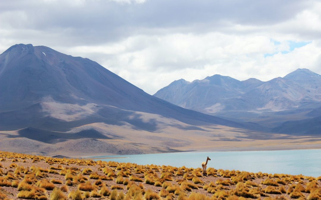 Covid-19 : toutes les informations à connaître pour voyager au Chili