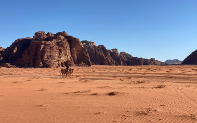 On a testé… le Wadi Rum en 4×4 🏜️🤩