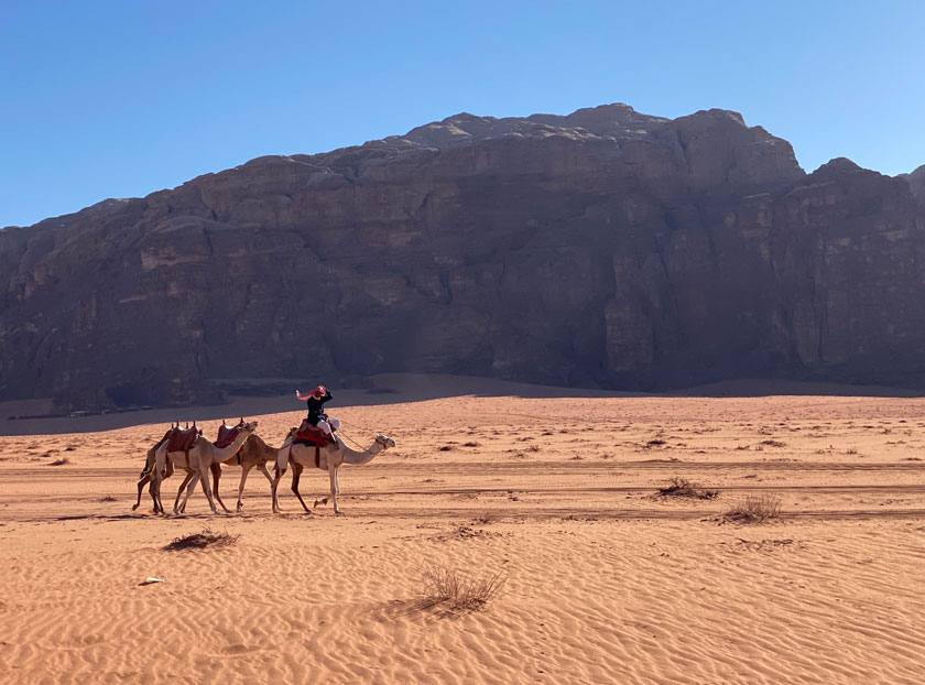 ©Travel Addicts - Bédouin et dromadaires dans le Wadi Rum