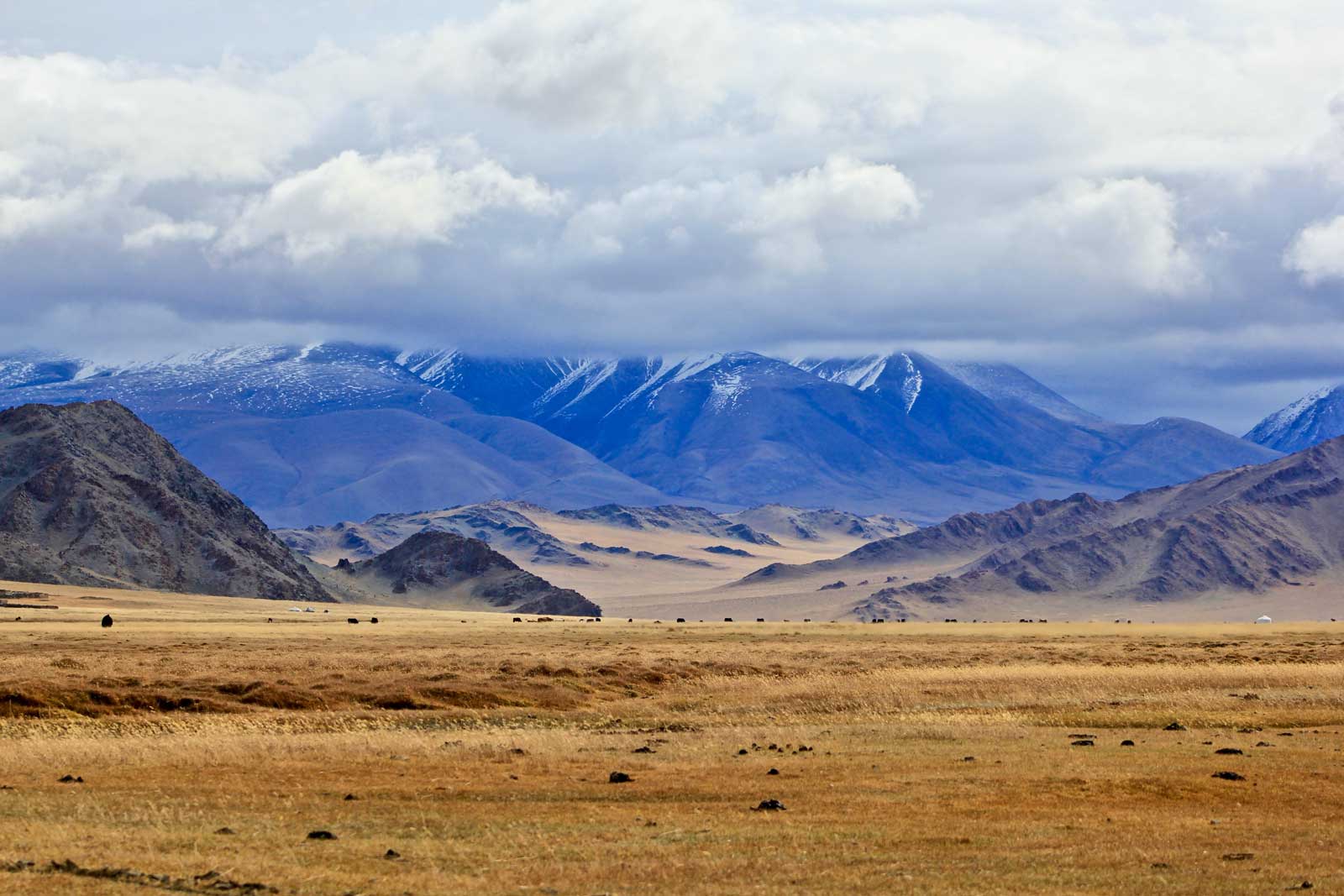 La Mongolie lève les restrictions Covid