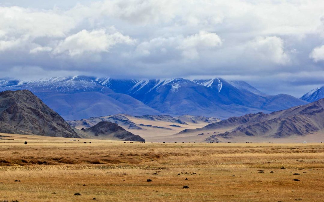 La Mongolie lève les restrictions sanitaires pour tous les voyageurs