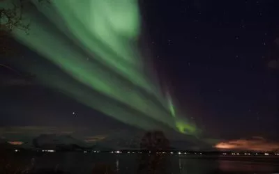 Où voir des aurores boréales ? Direction Tromsø, en Norvège ! 🐕 ❄️ 🐳